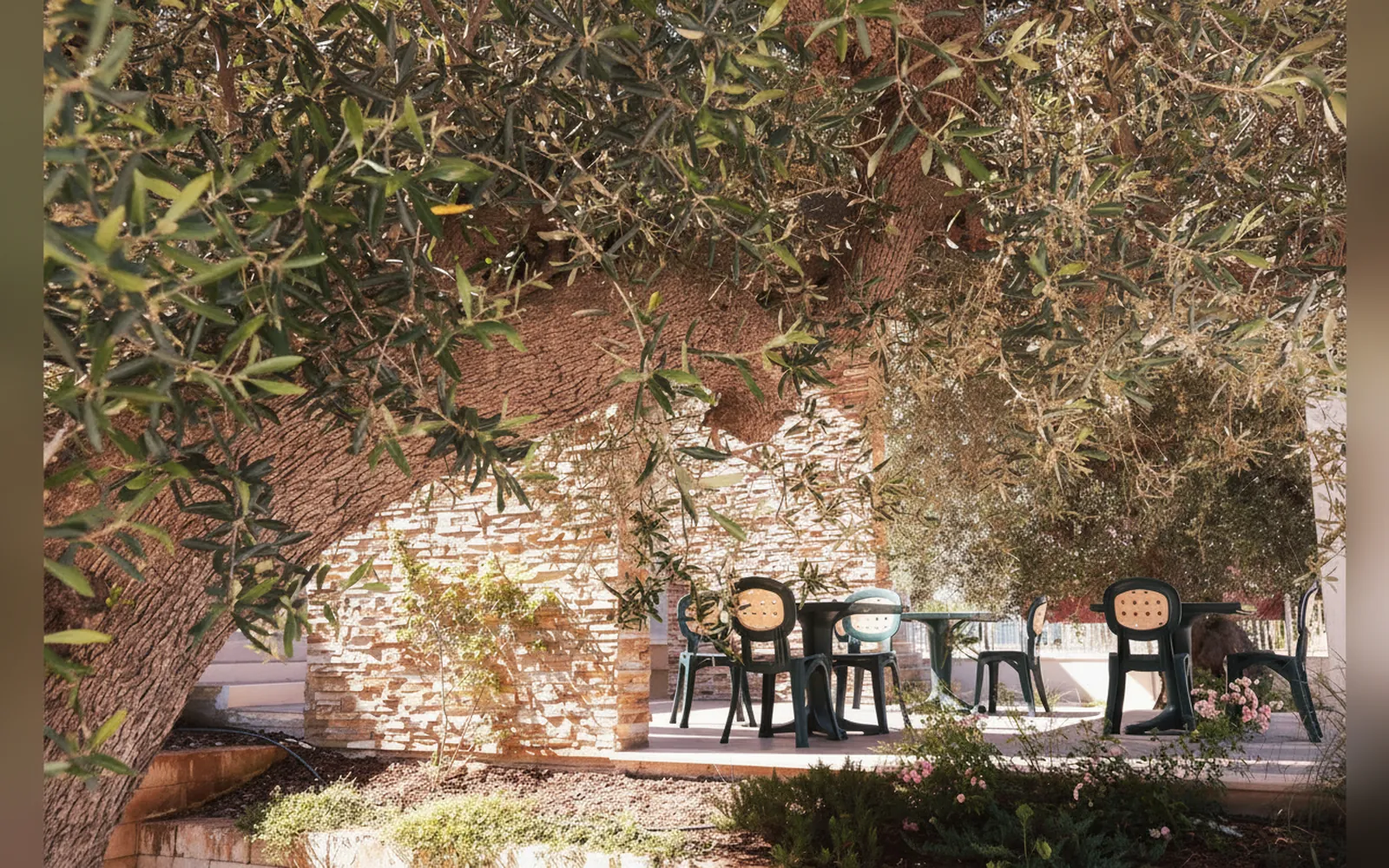 Villa Racconti di Puglia, Polignano a Mare (Puglia) — galleria foto 31
