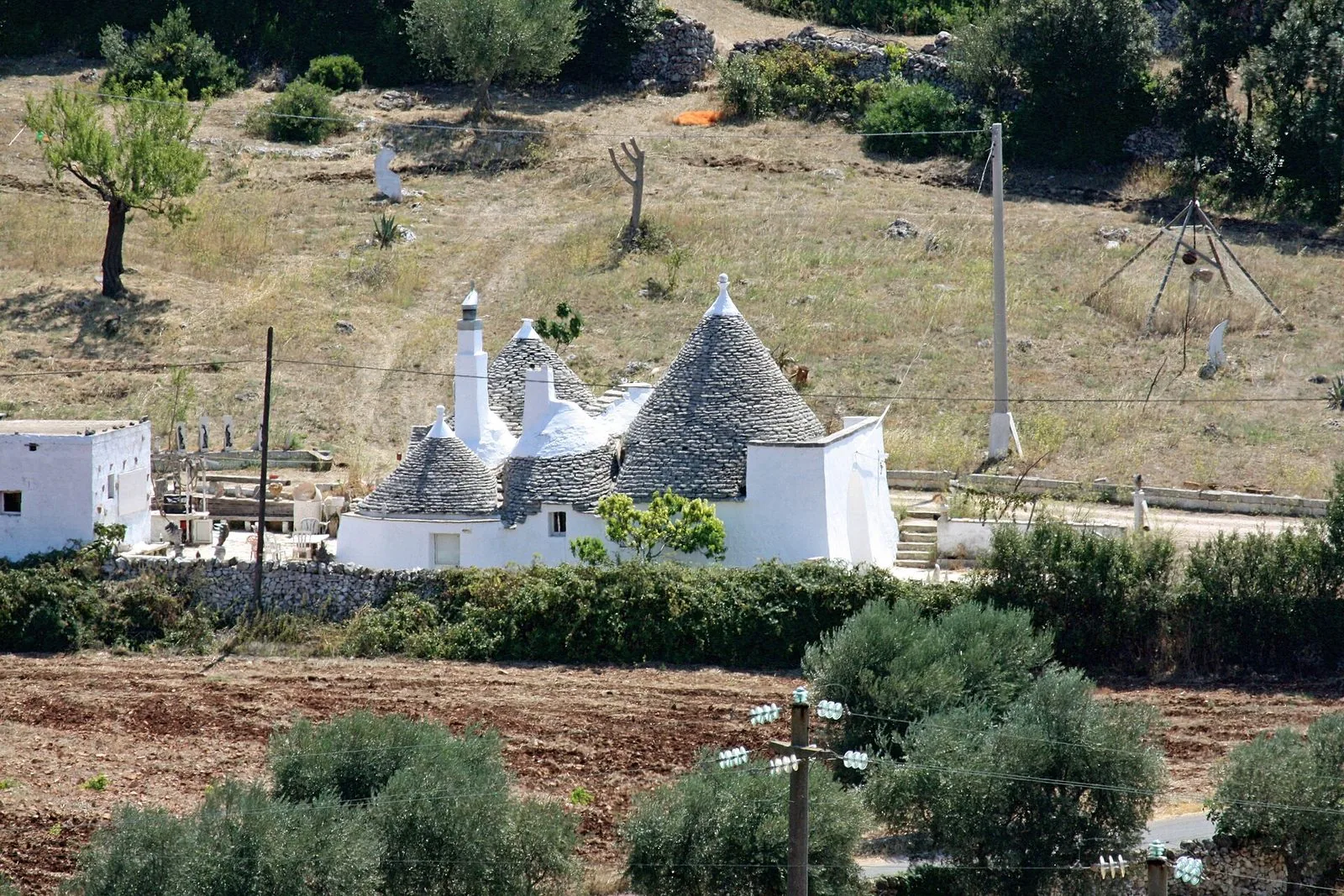 Un gruppo di trulli imbiancati con i tetti conici di pietra grigia nella campagna di Locorotondo, circondati da un muretto a secco, ulivi e campi arati, con un pendio erboso alle spalle